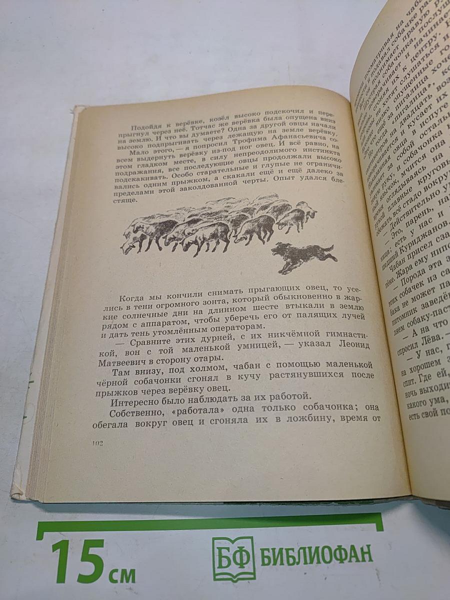 Необычные киноартисты