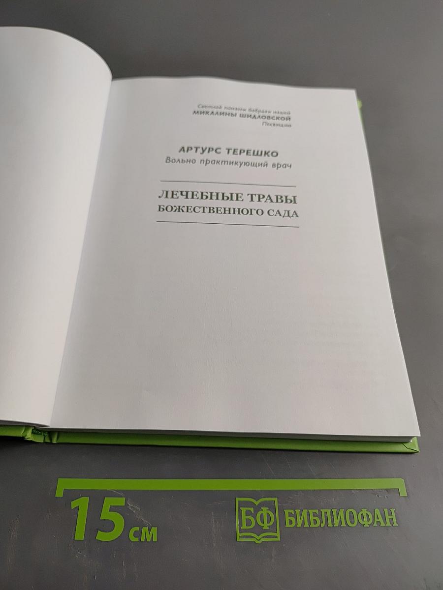 Лечебные травы божественного сада