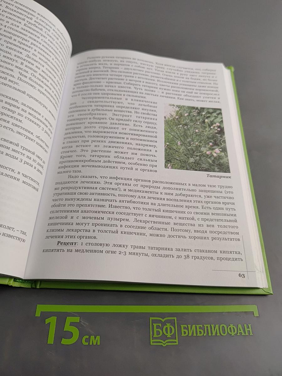 Лечебные травы божественного сада