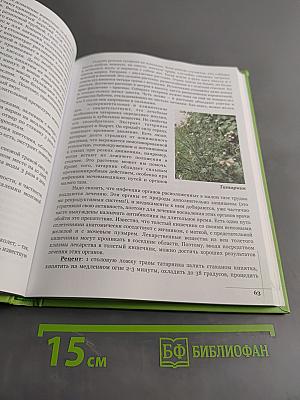Лечебные травы божественного сада