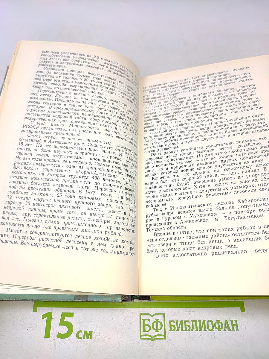 Беседы о лесе