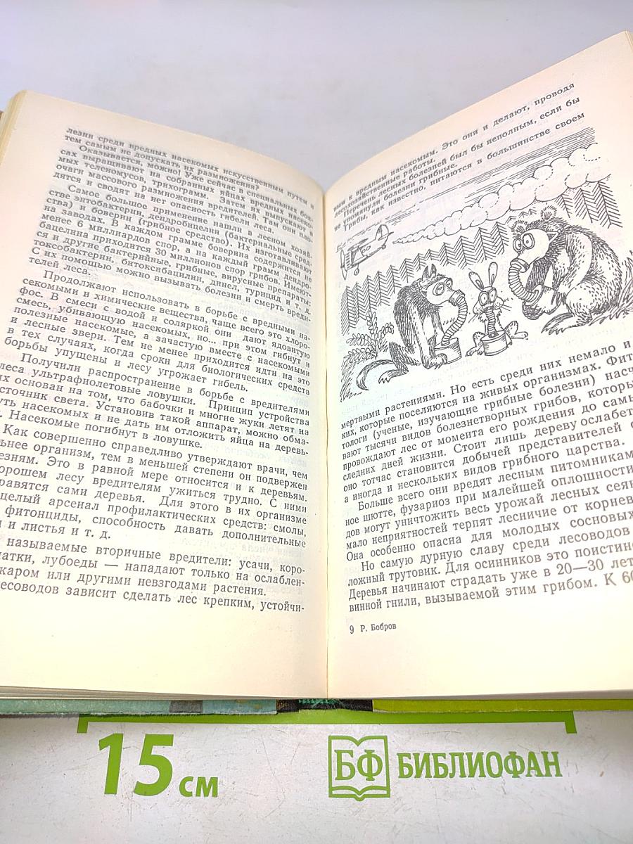 Беседы о лесе