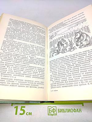 Беседы о лесе