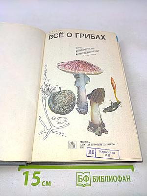 Всё о грибах