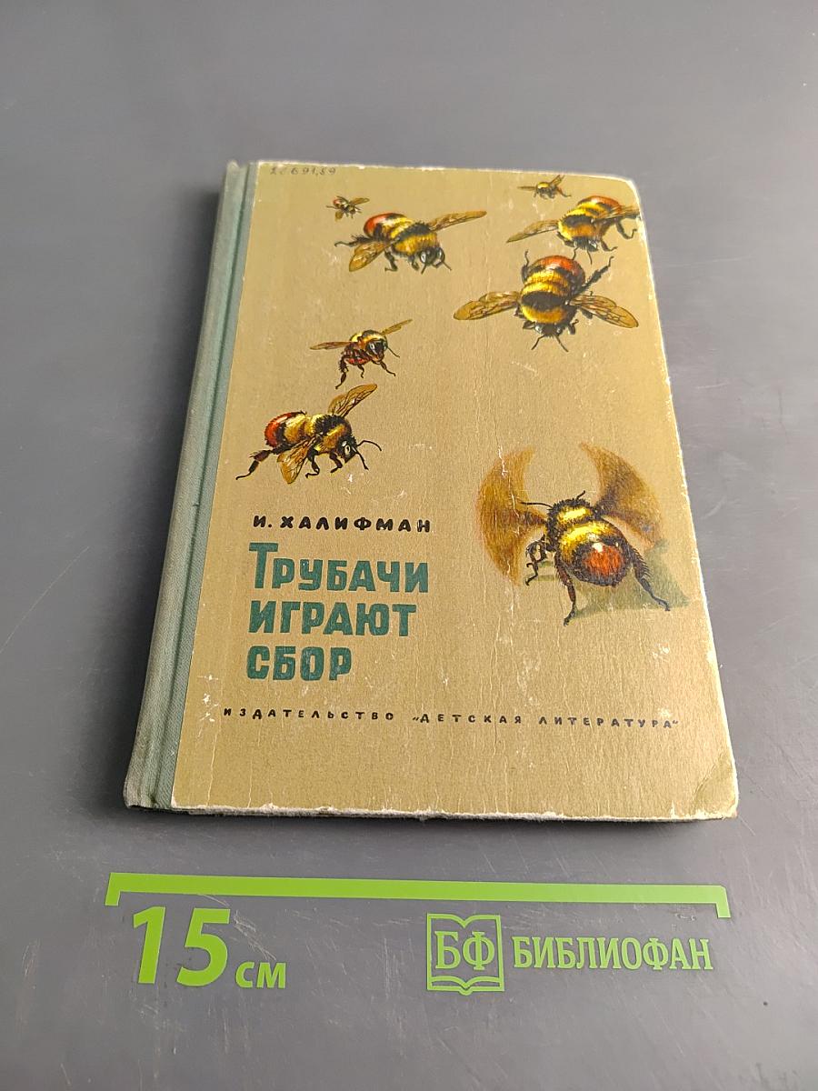 Трубачи играют сбор