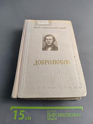Николай Александрович Добролюбов. Молодая гвардия