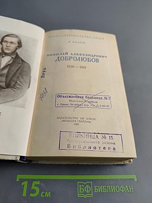 Николай Александрович Добролюбов. Молодая гвардия