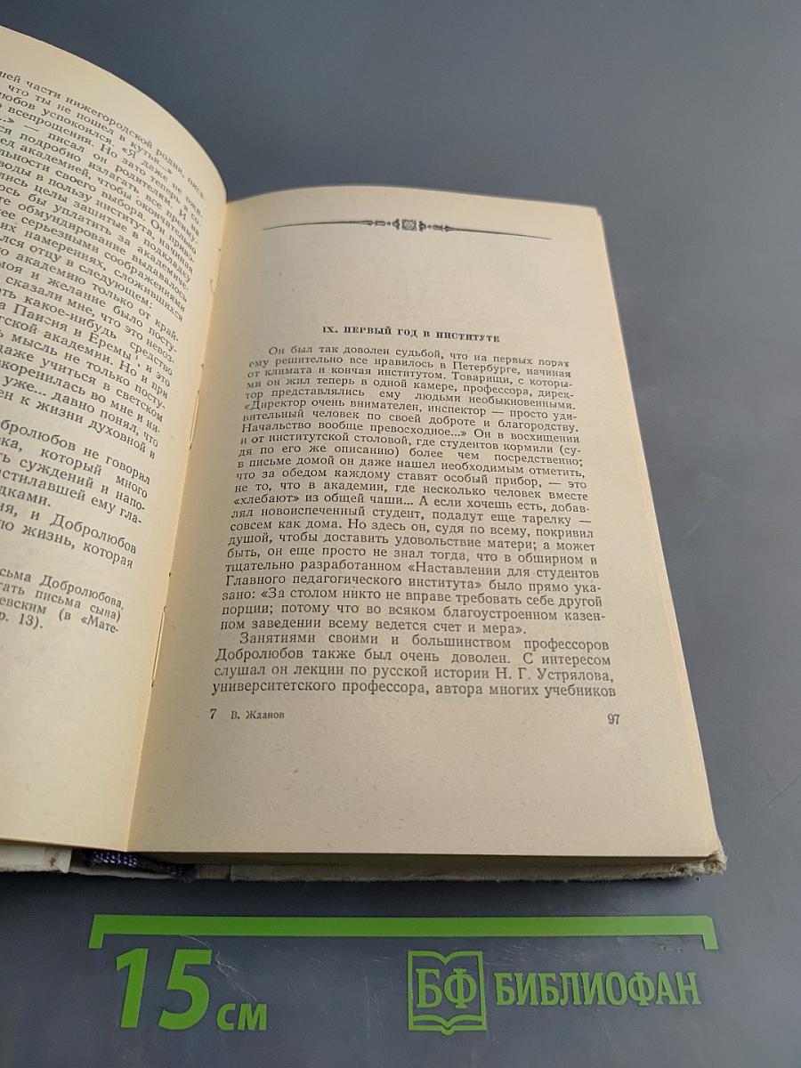 Николай Александрович Добролюбов. Молодая гвардия