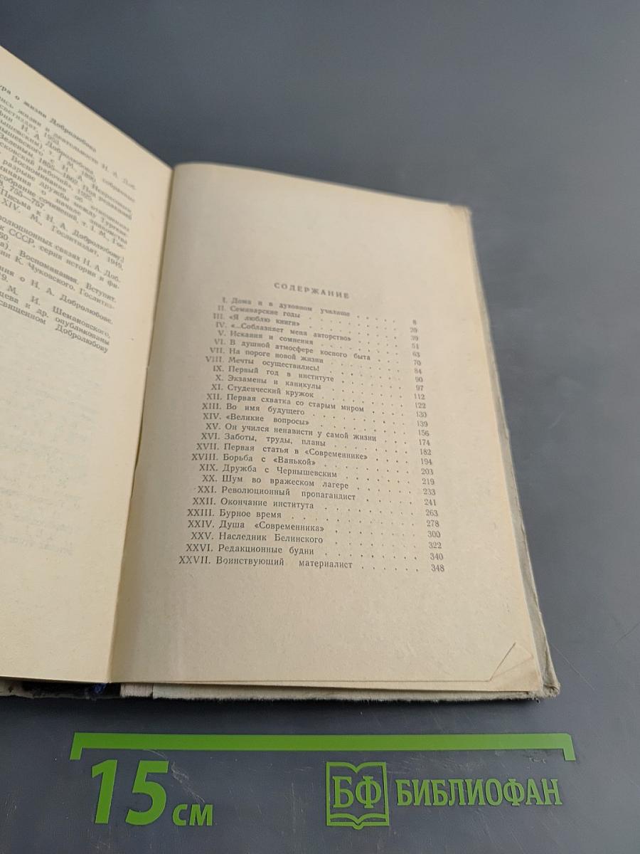 Николай Александрович Добролюбов. Молодая гвардия