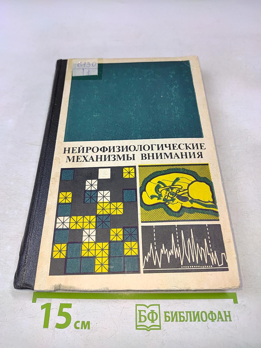 Нейрофизиологические механизмы внимания
