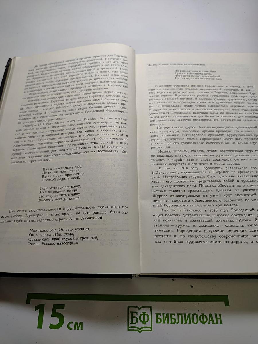 Сергей Городецкий. Избранные произведения. Том первый