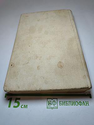 Машенька. Камера-обскура. Лолита