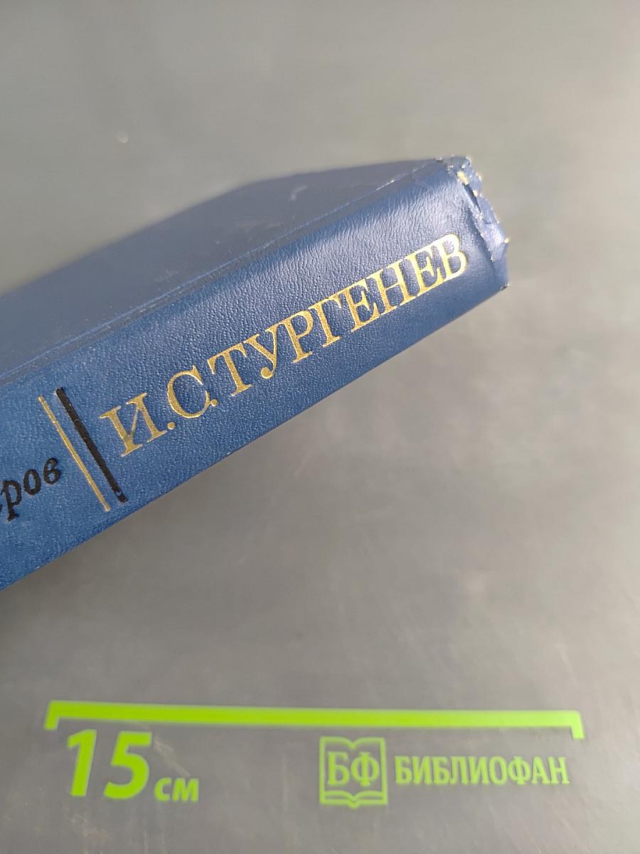 И.С. Тургенев. Творческий путь (Второе издание)