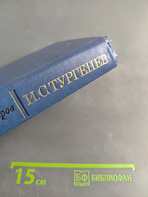 И.С. Тургенев. Творческий путь (Второе издание)