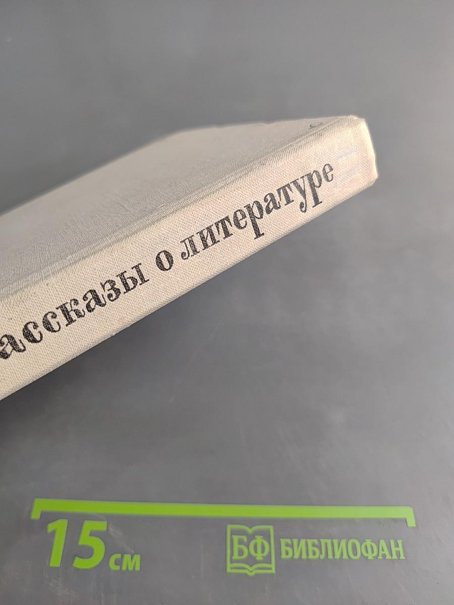 Рассказы о литературе
