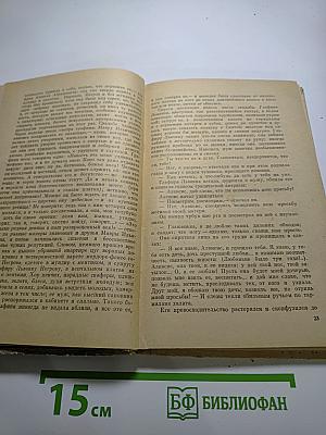 Кто виноват? Роман в двух частях