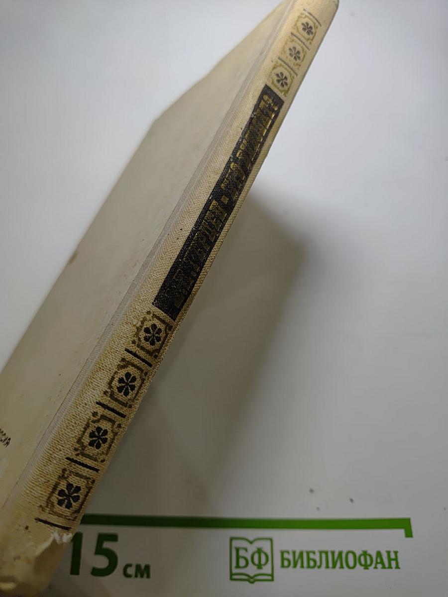 Кто виноват? Роман в двух частях