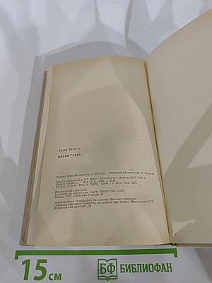 Новая глава