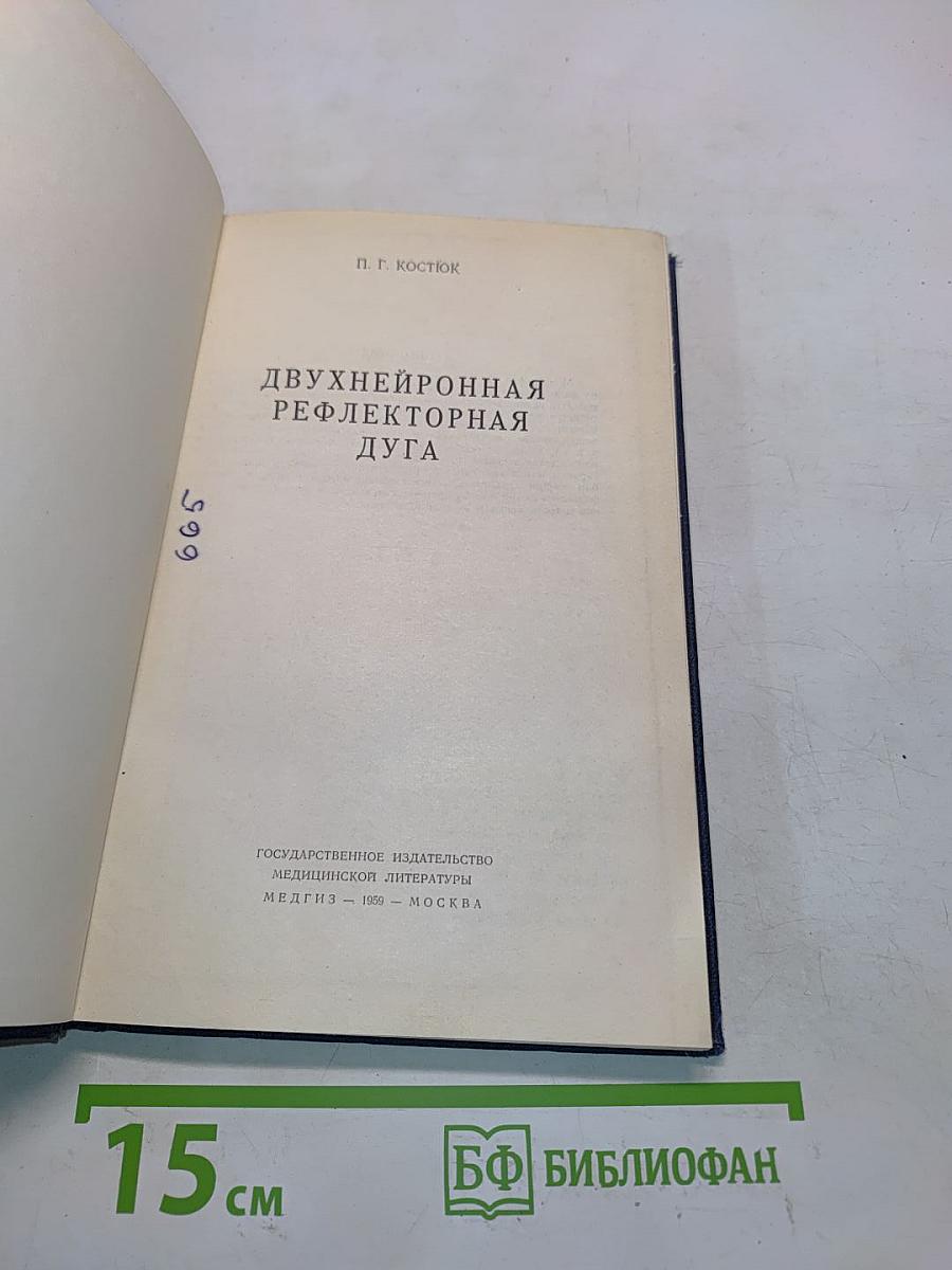 Двухнейронная рефлекторная дуга