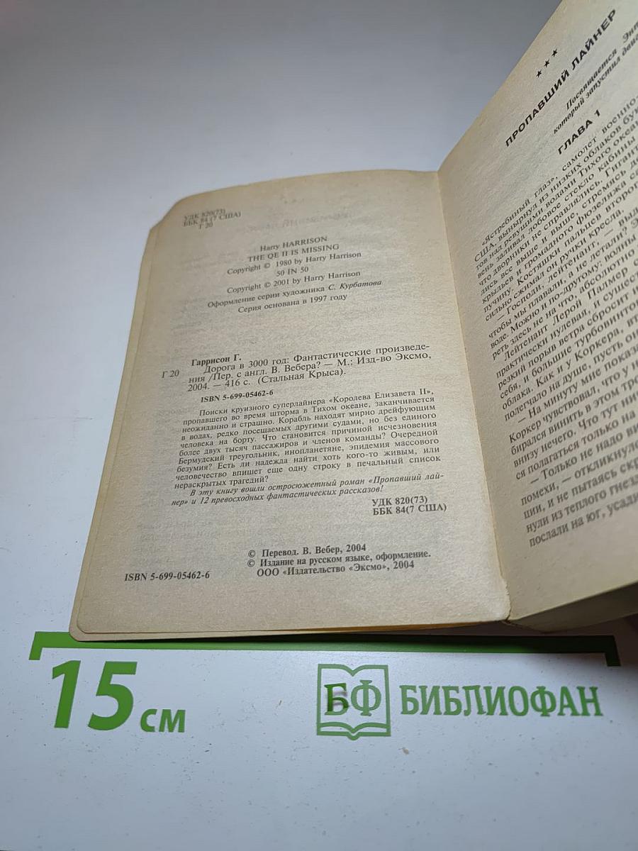 Пропавший лайнер. Дорога в 3000 год