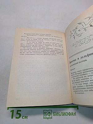 Почему у кита большой рот