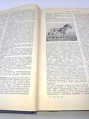Большая Советская Энциклопедия. Том 24