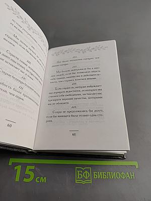 Великие мыслители древнего и нового мира. «Карманный оракул»