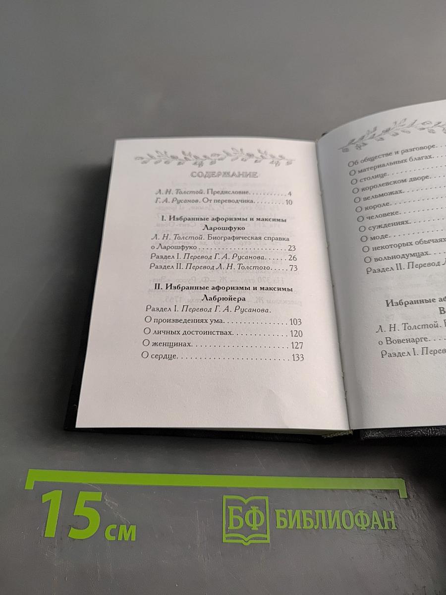 Великие мыслители древнего и нового мира. «Карманный оракул»