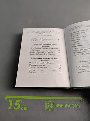 Великие мыслители древнего и нового мира. «Карманный оракул»