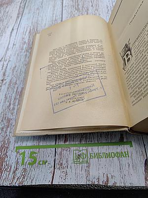 Советские партизаны