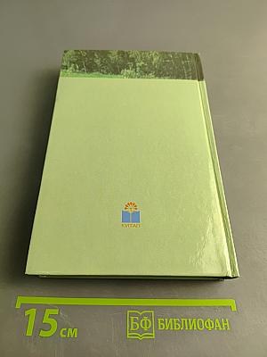 Книга откровений. По следам «Одолень-травы»