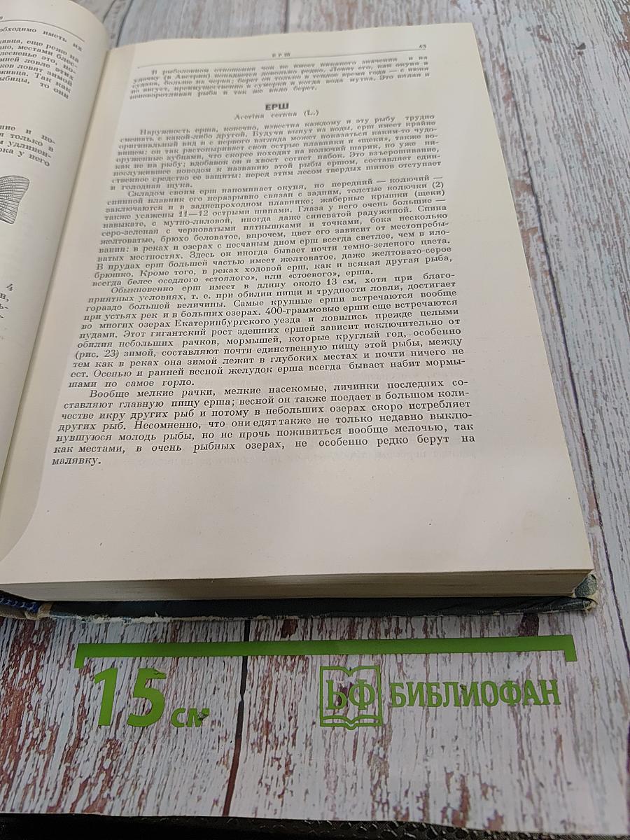 Жизнь и ловля пресноводных рыб
