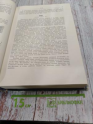 Жизнь и ловля пресноводных рыб