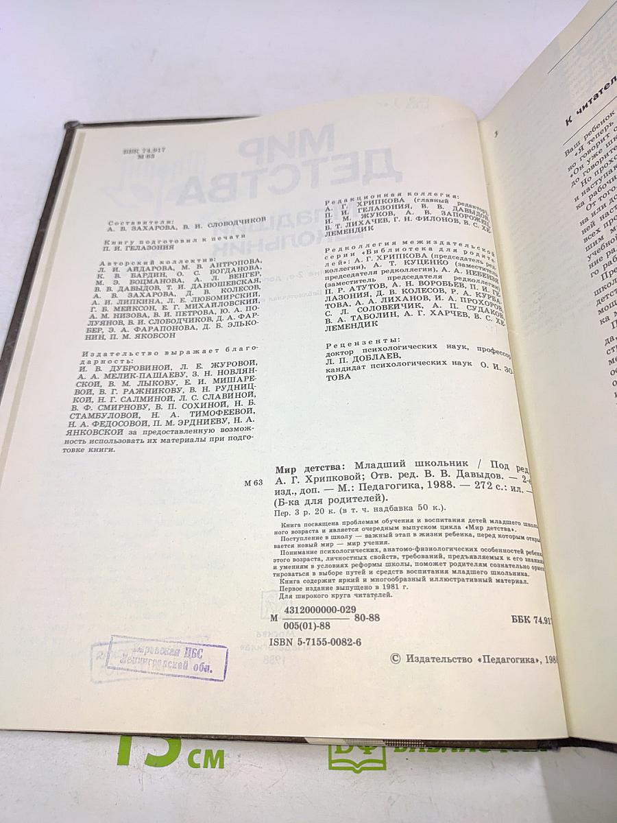 Мир детства. Младший школьник