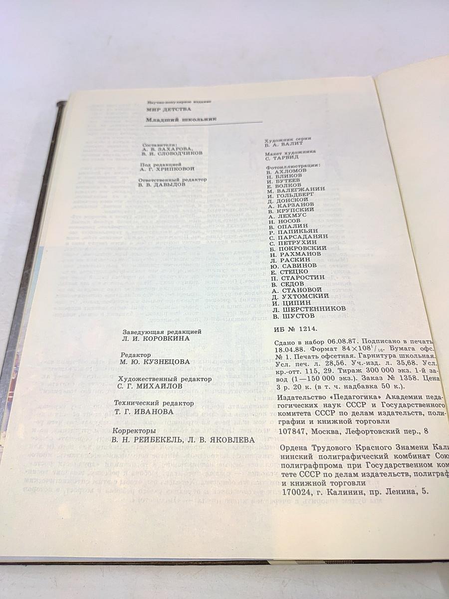 Мир детства. Младший школьник