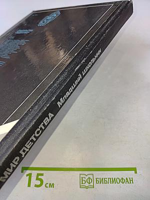 Мир детства. Младший школьник