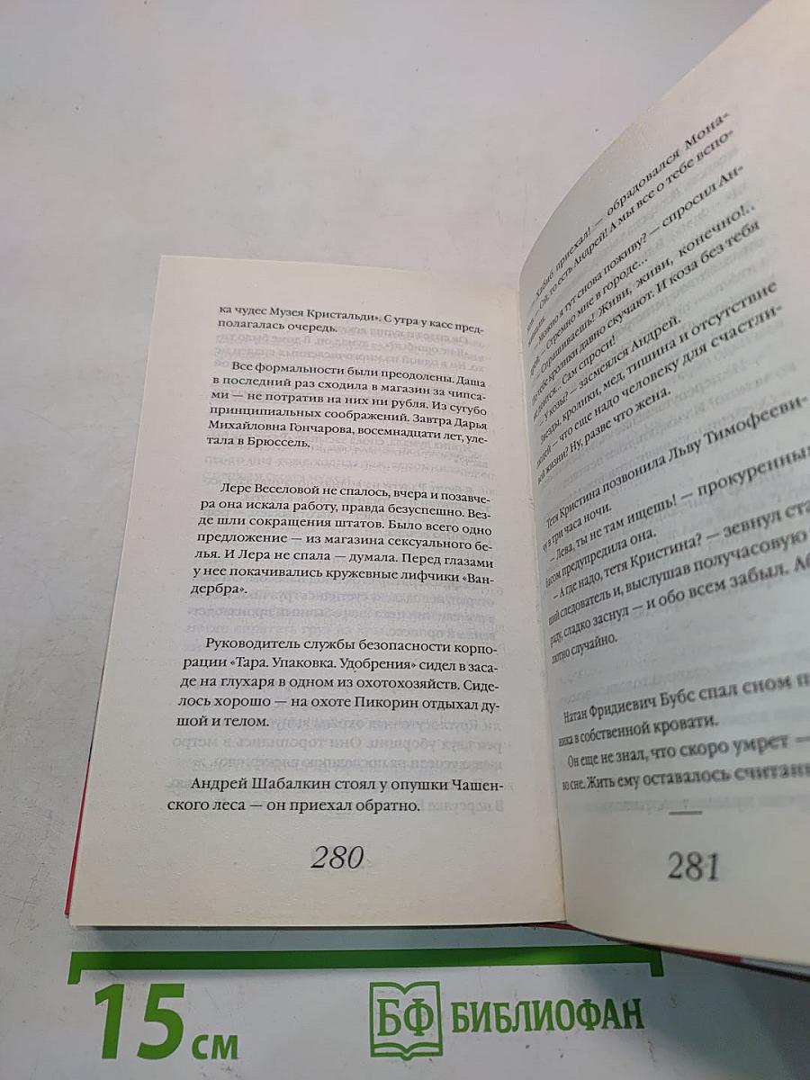 Священная швабра, или Клуб анонимных невест