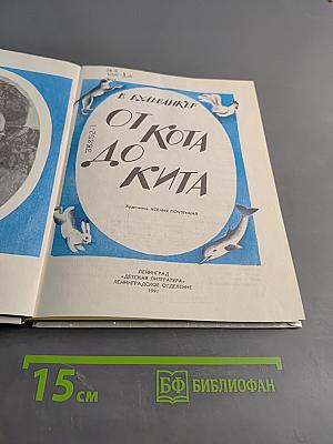 От кота до кита