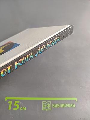 От кота до кита