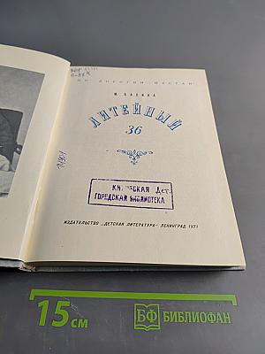 Литейный, 36