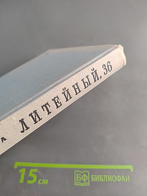 Литейный, 36