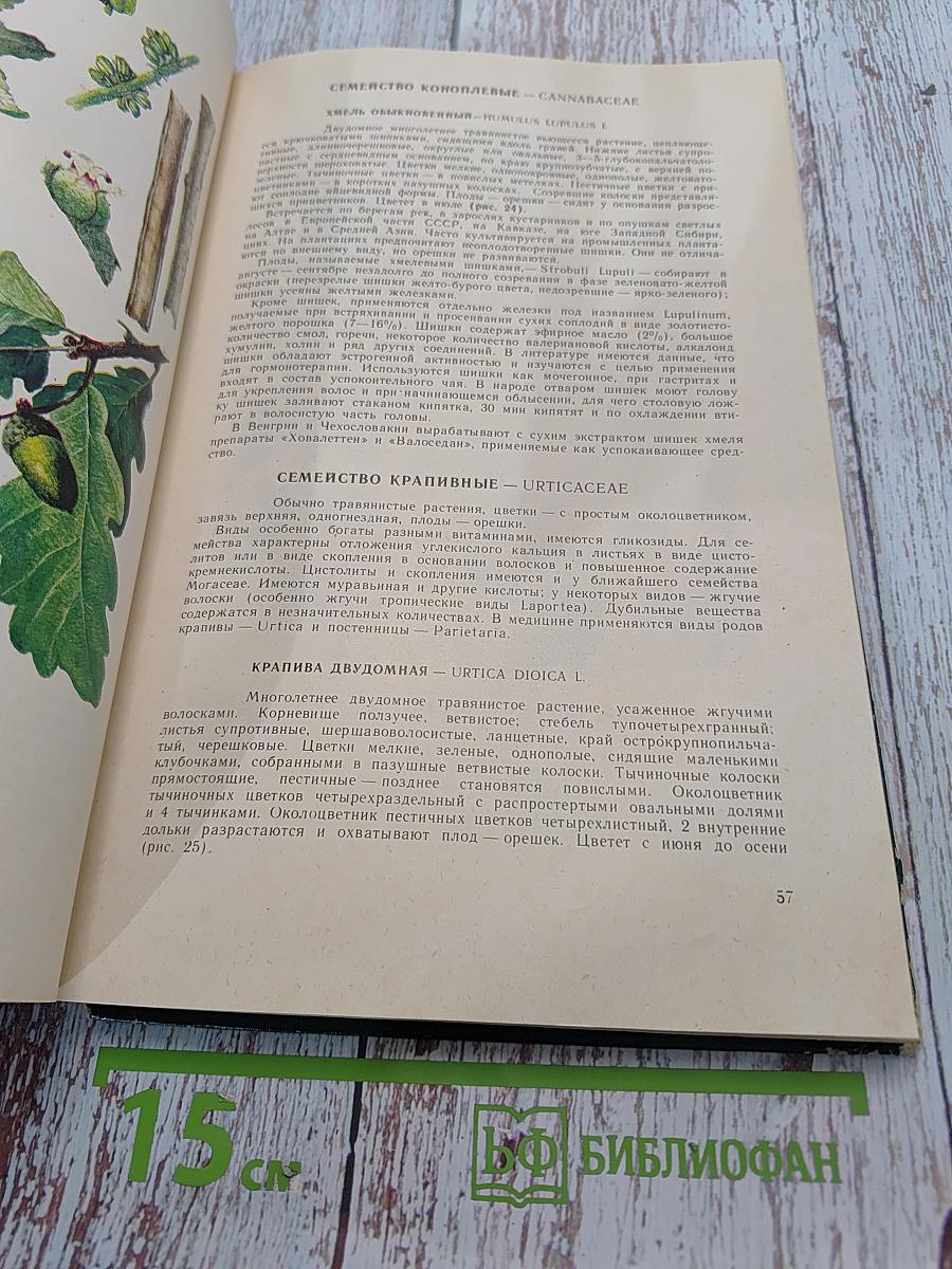 Дикорастущие лекарственные растения СССР