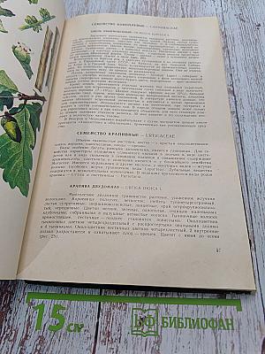 Дикорастущие лекарственные растения СССР