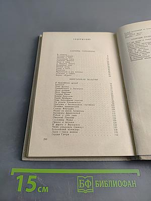 Тюльпаны, колокола, ветряные мельницы и многое другое, увиденное автором в Голландии, Бельгии и Люксембурге