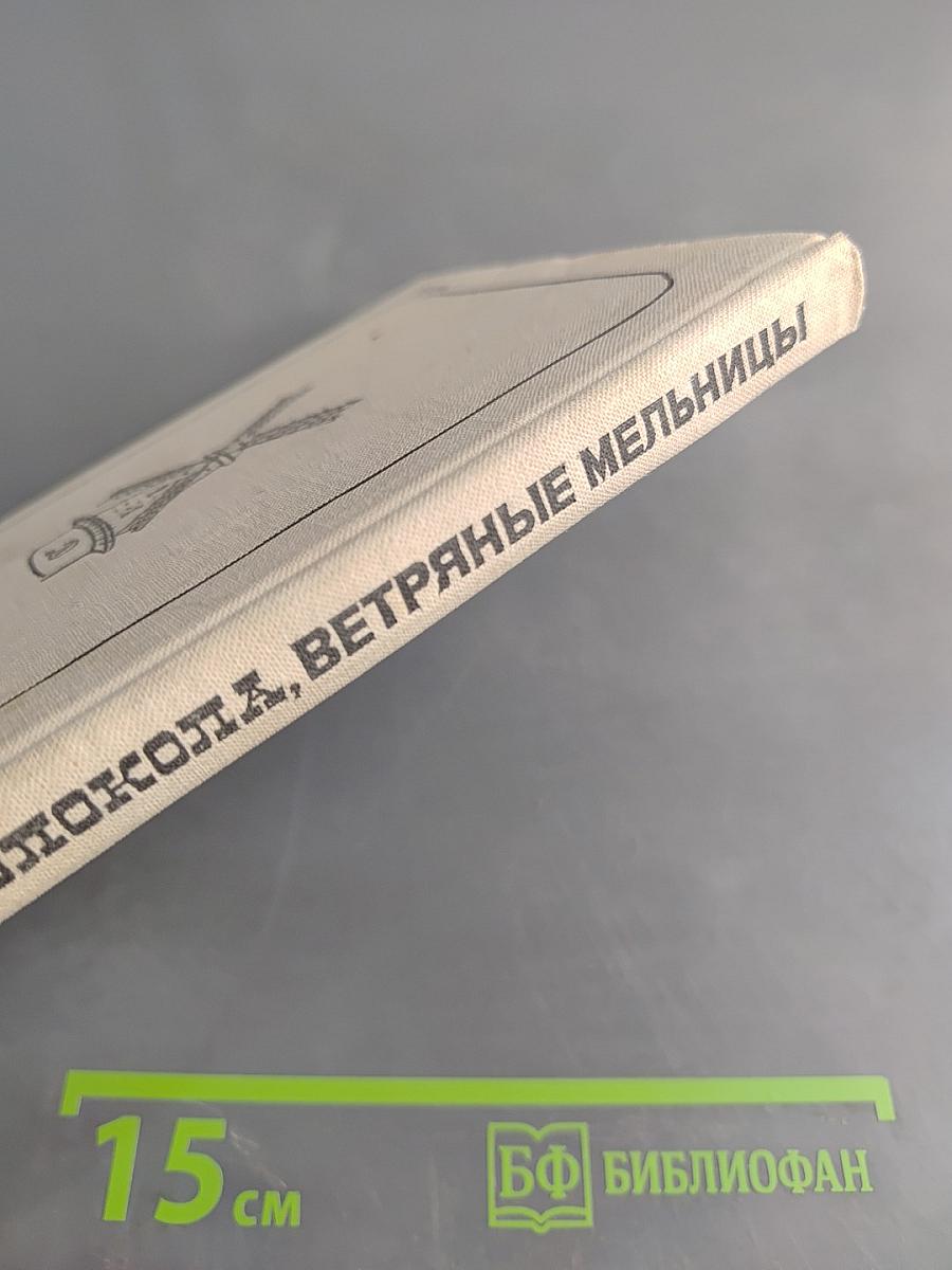Тюльпаны, колокола, ветряные мельницы и многое другое, увиденное автором в Голландии, Бельгии и Люксембурге