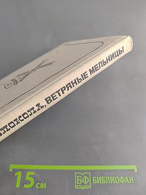 Тюльпаны, колокола, ветряные мельницы и многое другое, увиденное автором в Голландии, Бельгии и Люксембурге
