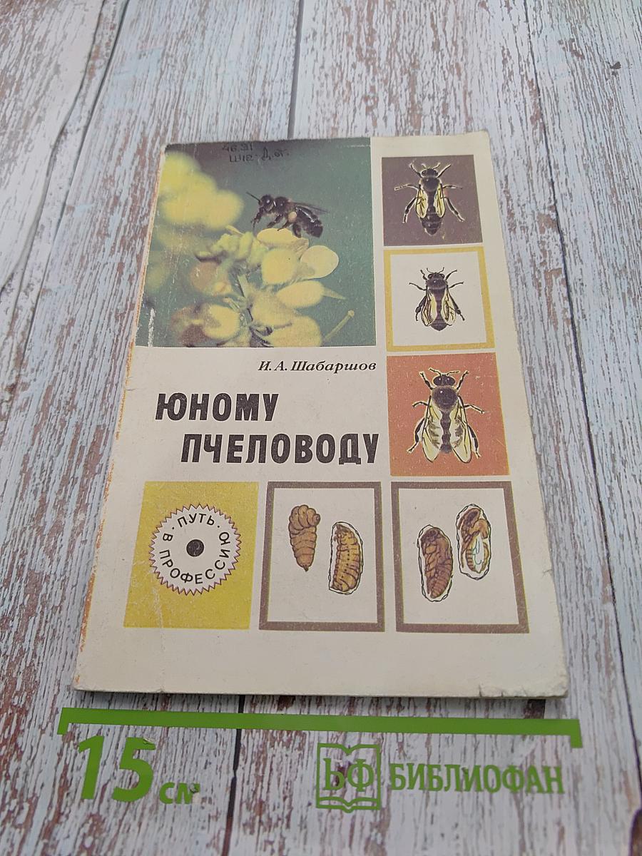 Юному пчеловоду