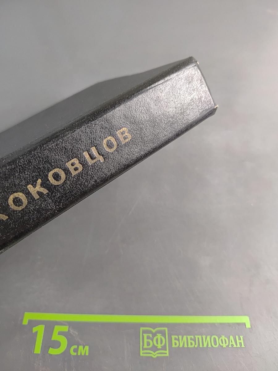 Из моего прошлого. Воспоминания 1911-1919
