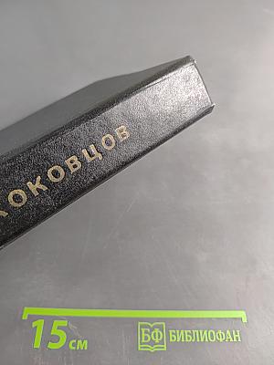 Из моего прошлого. Воспоминания 1911-1919