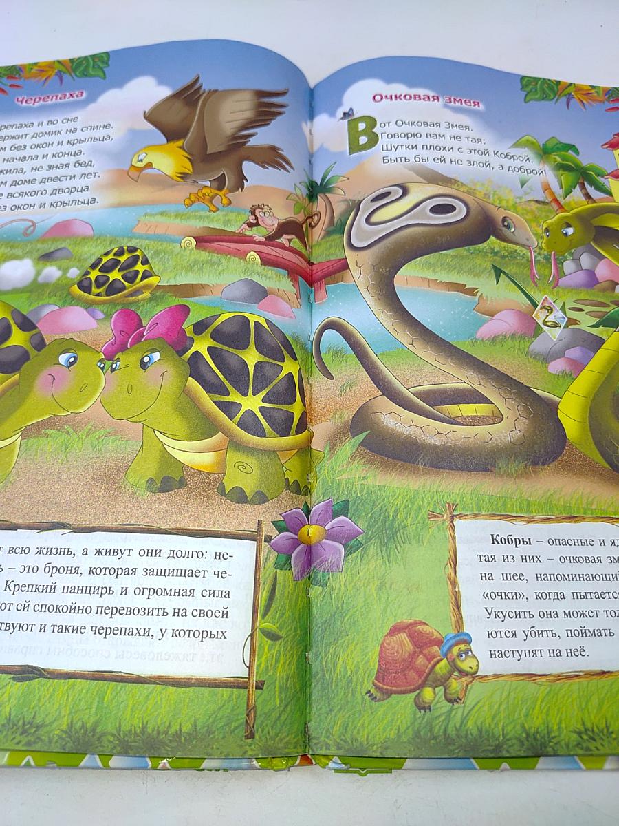 Необыкновенная книга об удивительных животных